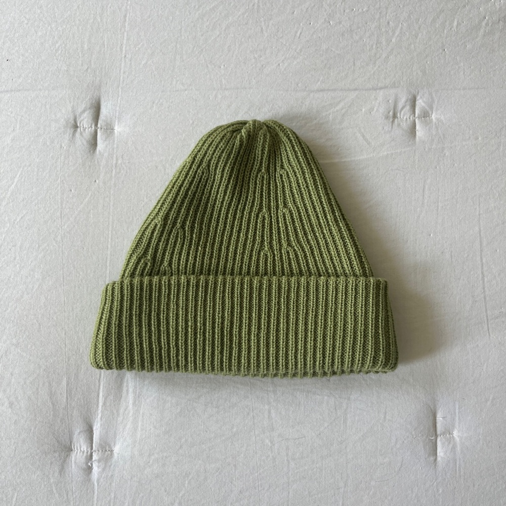 NWOT James Street Co Port Beanie in Fern